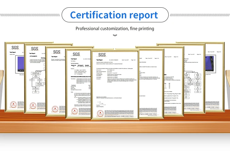 Factory Price Stainless Steel Scaffolding Wire Rope Lifting Slings Cable with End fitting Both Sides Loop-Carabiner