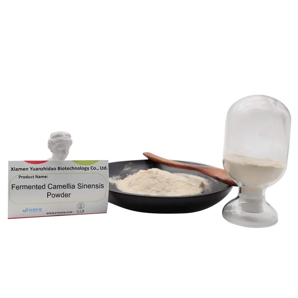Wholesale  Fermented Camellia Nitidissima Powder Improves Immune System Function Maintain A Good Metabolism