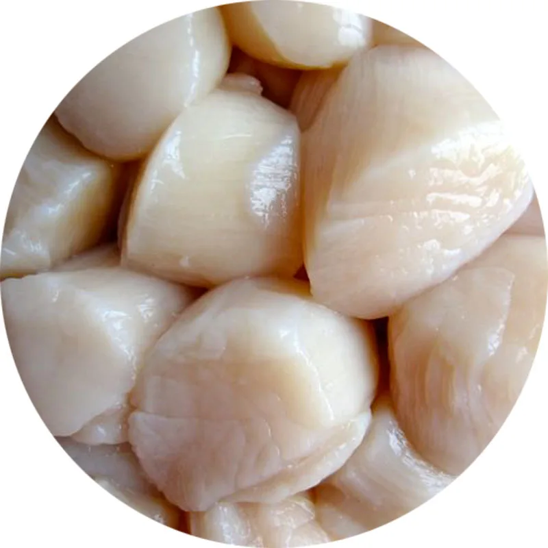 seafood wholesale health frozen sea scallop price