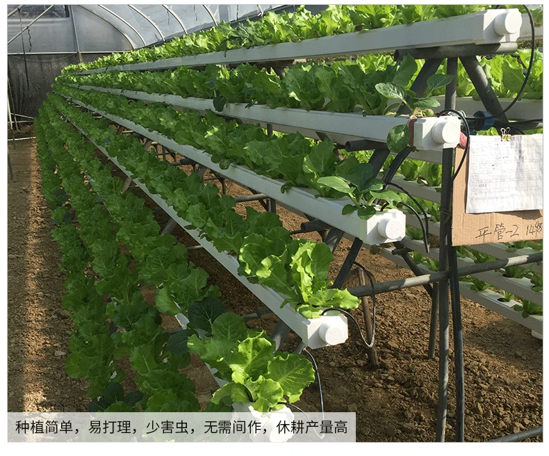 Aeroponic Hydroponic System For Greenhouse Indoor Hydroponic Tower Garden Hydroponic Growing System Vertical