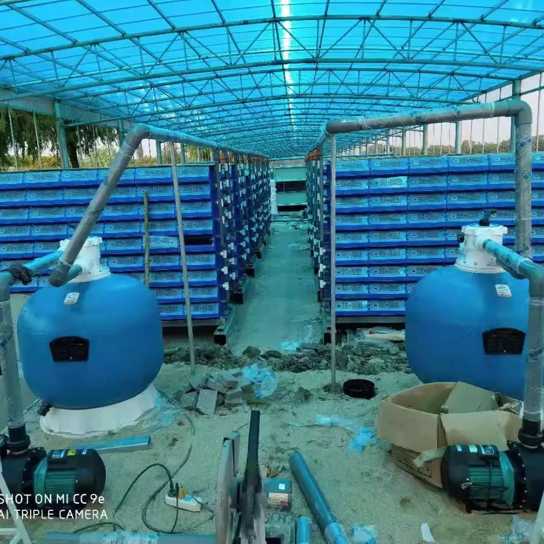 Indoor mud crab farm system crab box house farming boxes equipment