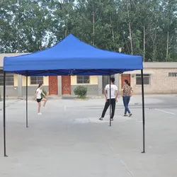 Custom Logo Commercial Advertising Tent 10x10 Instant Canopy Tent For Vendors