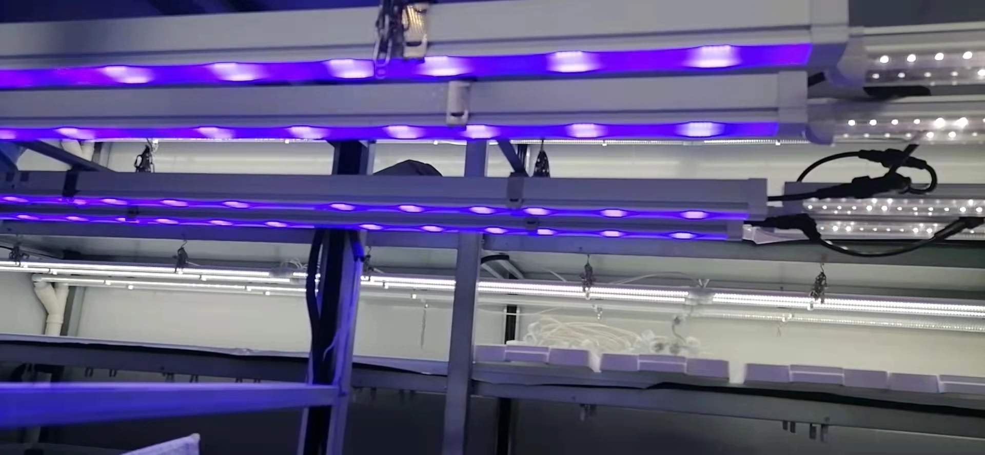 Customized 36W Dimming Led Grow Light Bar for Veg Flower medicinal Plants Growing