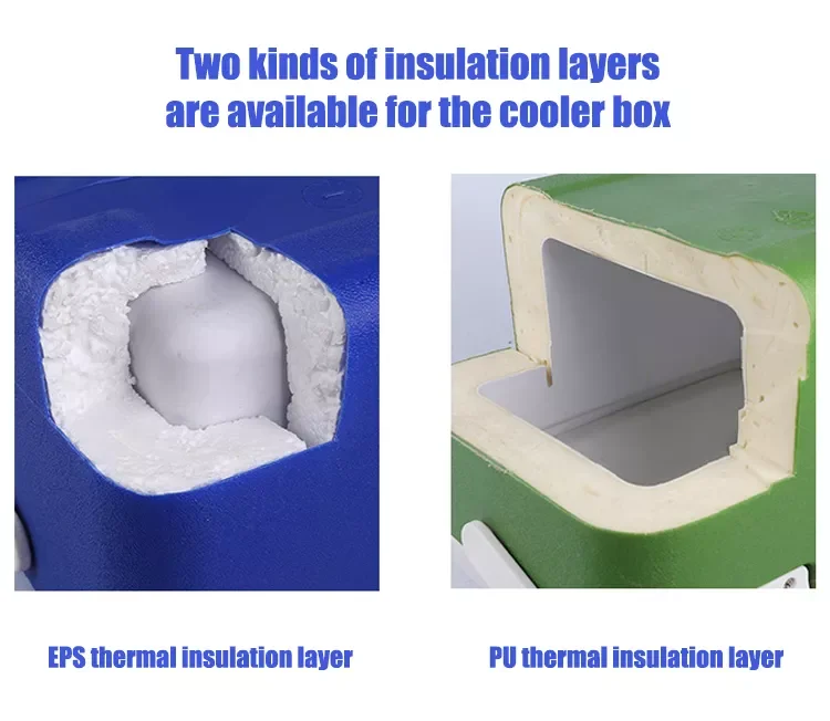 factory wholesale 30L 2-8 degree plastic foam cooler box and temperature display insulated rotomolded cooler