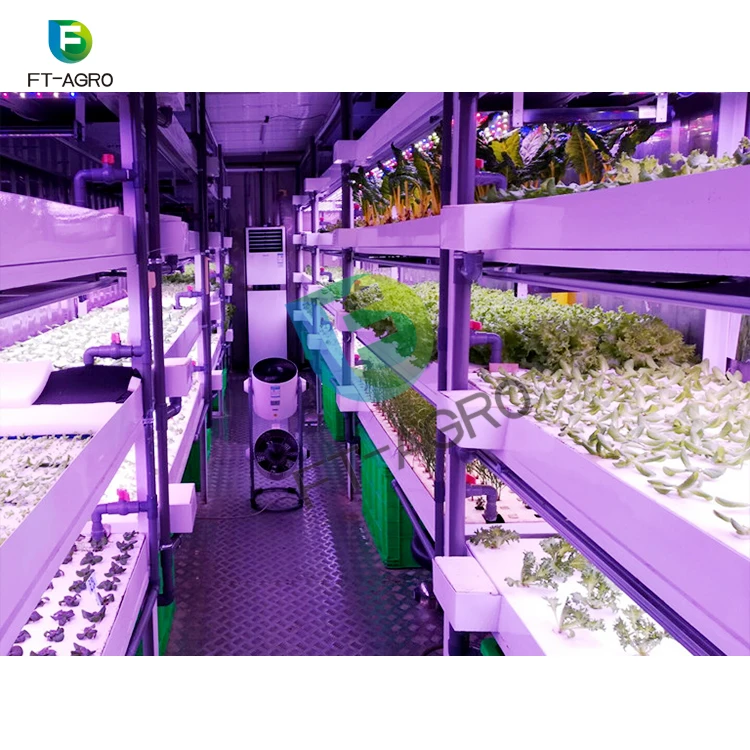 40ft Container hydroponic plant factory For smart farms