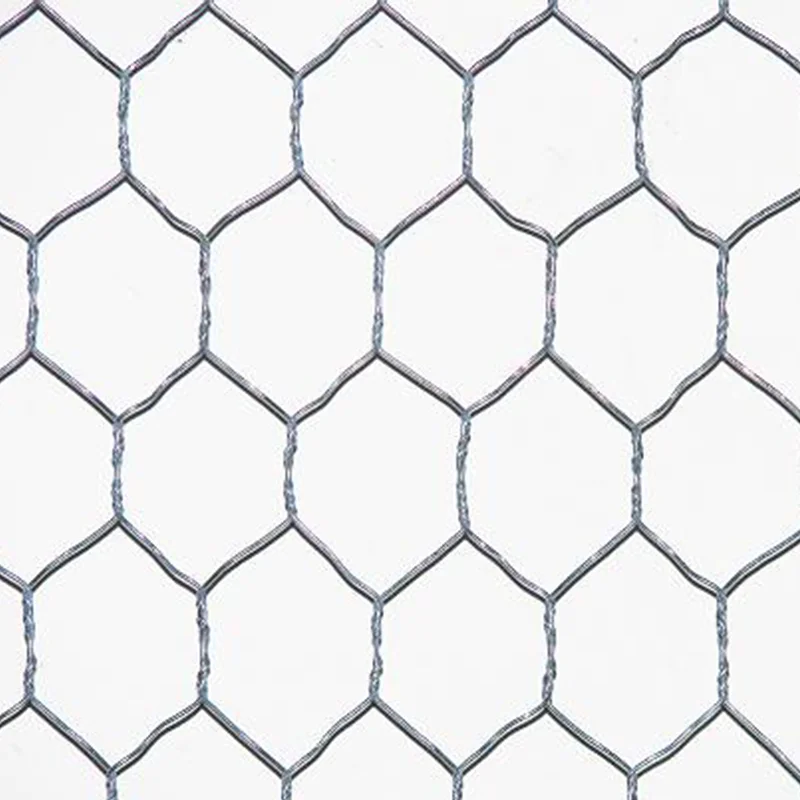 Manufacture supplier hot galvanized hexagonal stainless steel wire mesh chicken wire mesh roll for sale