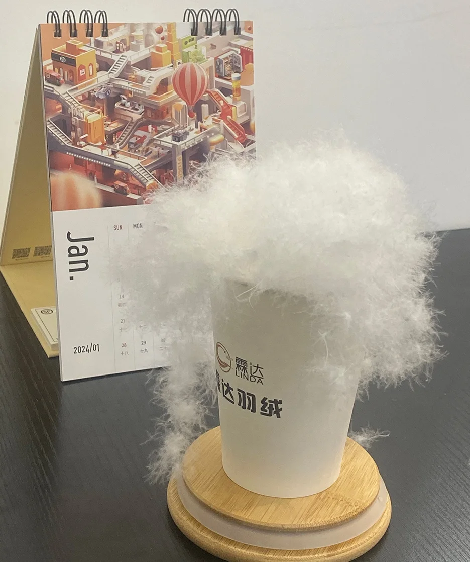 Affordable price, quality down jacket/down comforter filling raw materials supply wholesale