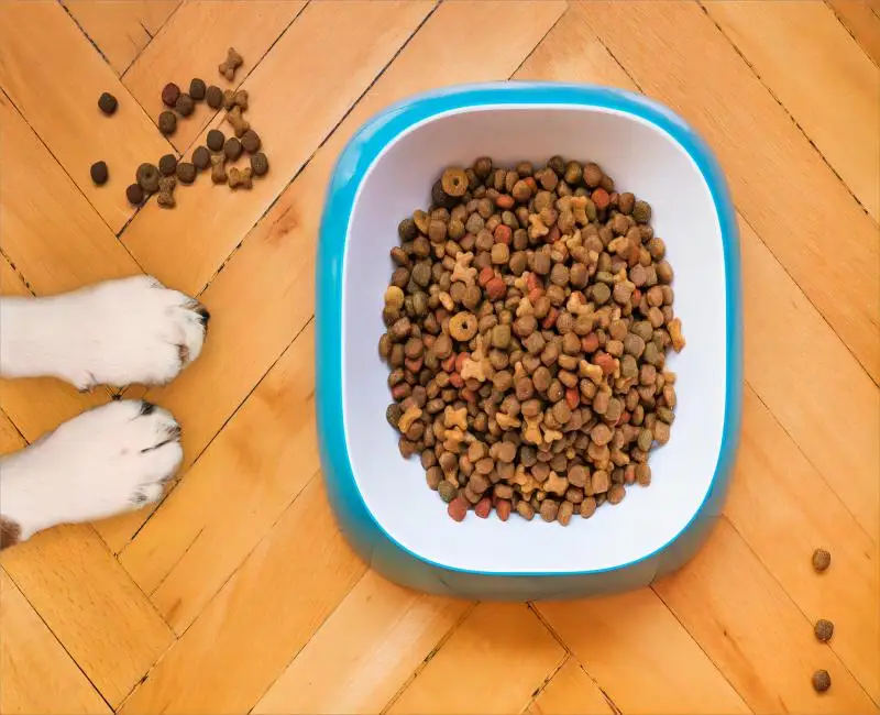 Outstanding Quality dog dried food Wide Varieties super premium pet food High Nutrition total health dog food