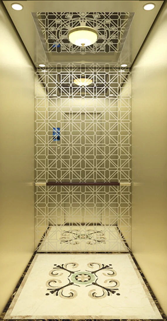 Fuji residential elevator Safe And High Stability Home Elevator Homes Lift Elevatorsvilla elevator