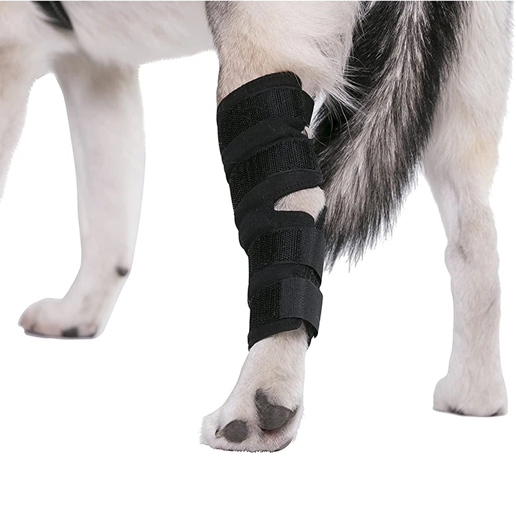 Hot Selling Recovery Breathable Protector Sleeve Dog Knee Legs Dog Hock Brace Avoid Licking Injured Leg