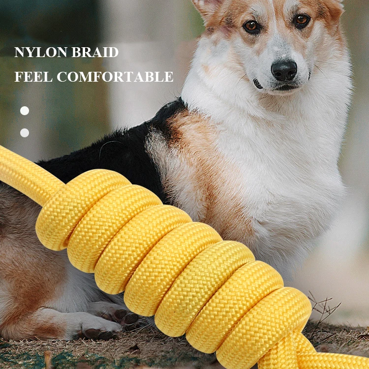 Hot Sale Lightweight Durable Non-slip Dog Leashes Collar Thickened P-Chain Loop Slip Lead Running Nylon Training Traction Rope
