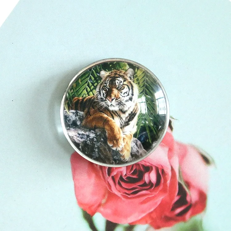 Персонализированный Магнит на холодильник LY Dome 3d для сувениров, африканская трава, тигр