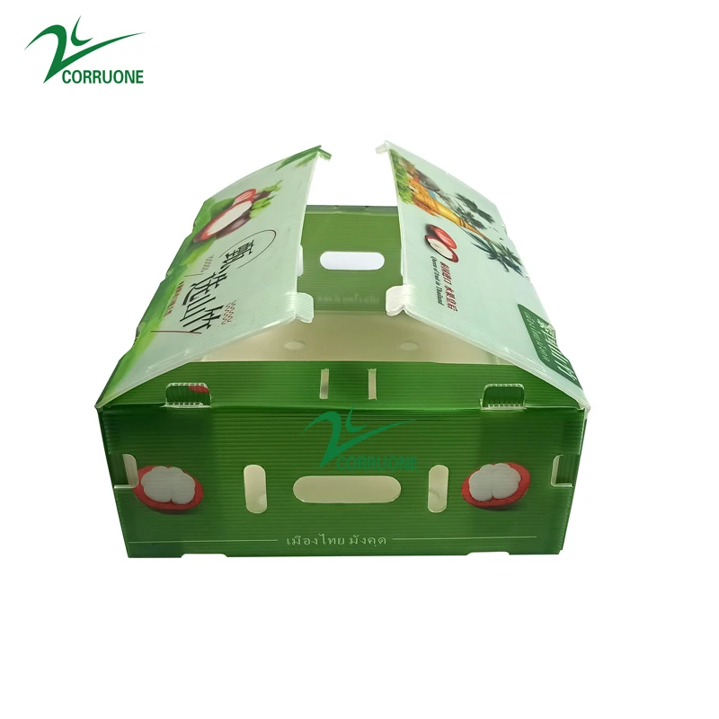 polypropylene plastic box organic vegetable foldable honeycomb pp grape packaging banana plain asparagus corrugated for fruit