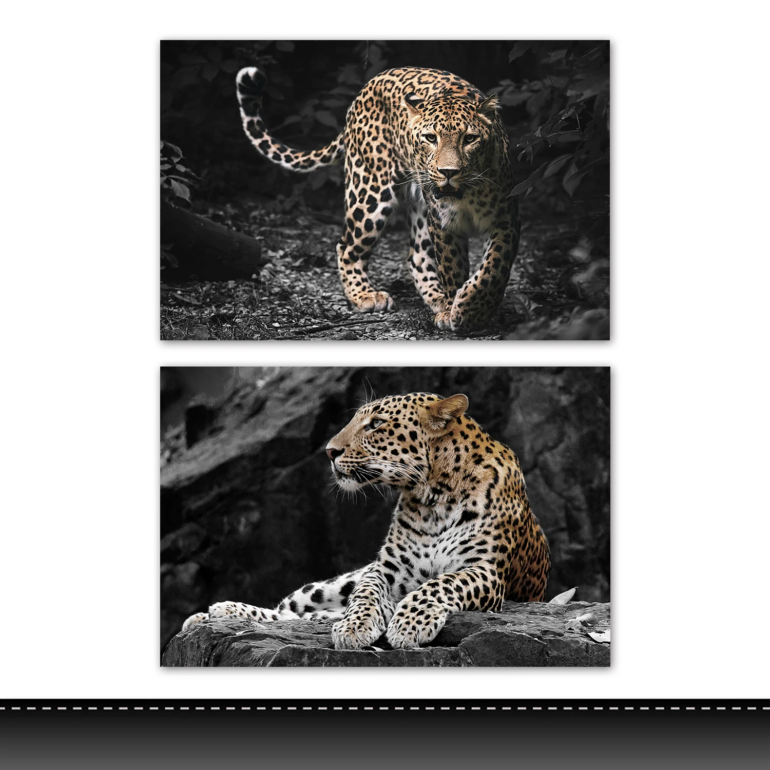Modern Wild Animals  With Frame Canvas Picture Decorative  Painting