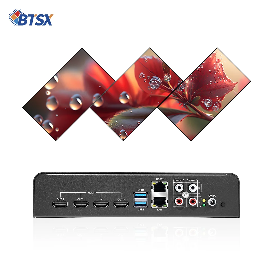 Bitvisus Customized Packaging 1x3 1x2 RS232 LAN Irregular Video Wall Controller