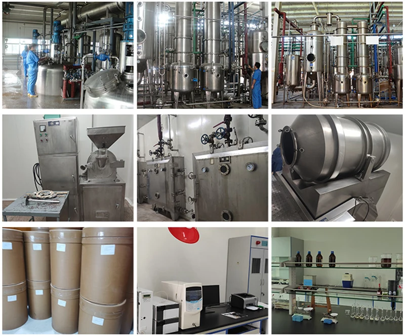 Factory Supply High Quality Pine Bark Extract Powder Pine Bark Extract
