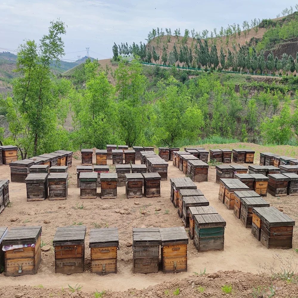 Raw Honey Madu Bee Honey Wildflower Honey Factory Sales Cheap Price