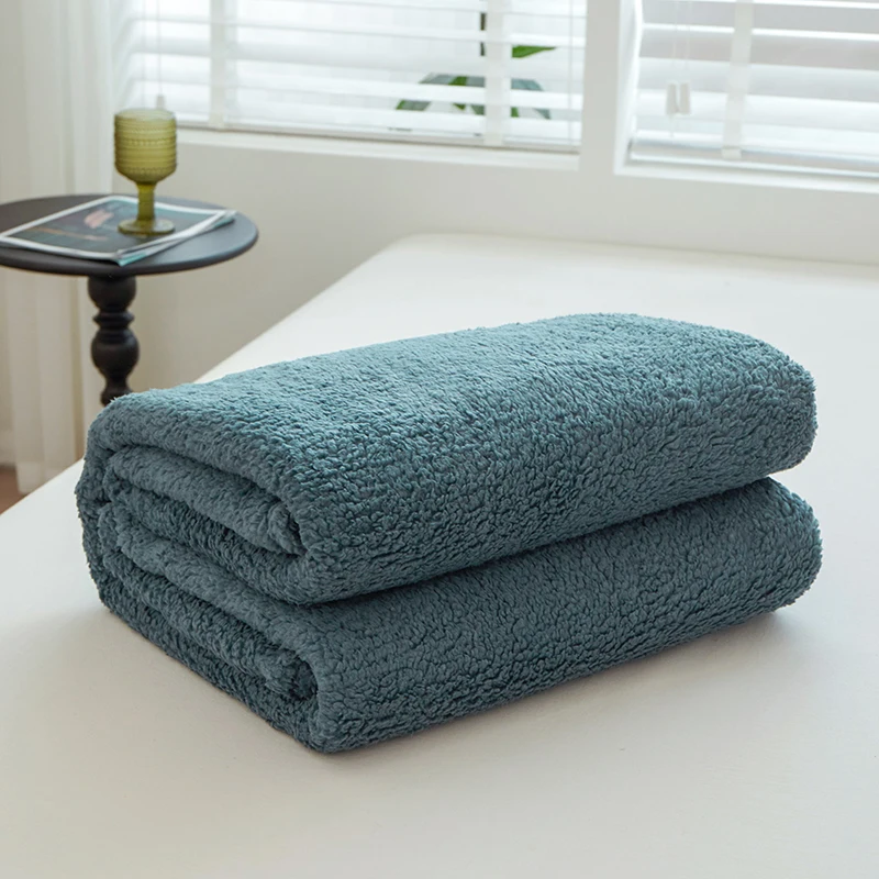 Wholesale Custom Super Warm Travel Blanket Polyester Fibre100% Solid Color Double-Sided Lamb Wool Blankets