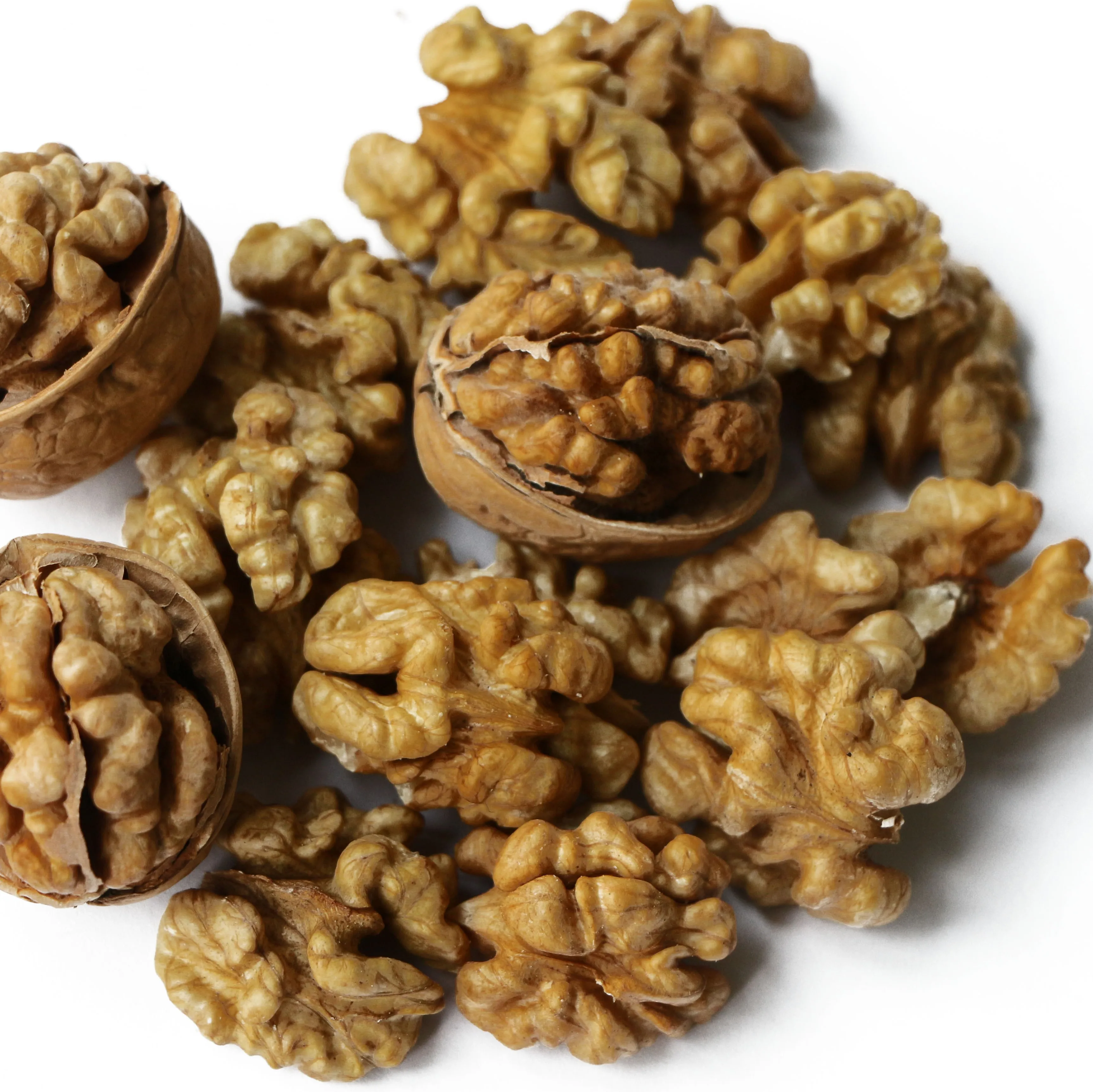 
Chinese xinjiang paper skin walnut inshell new stock high quality 