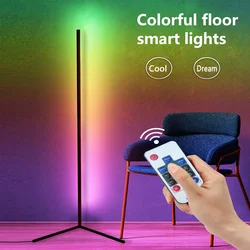 RGB LED Adjustable Height Dim 160cm Modern Floor Lamp with Remote Metal Standing for Living
