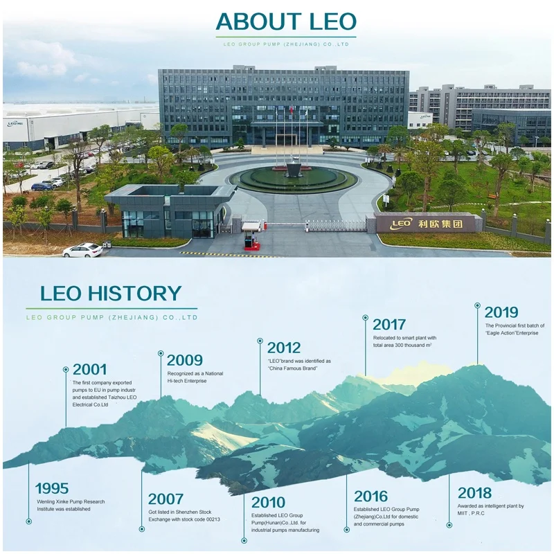 LEO DSKP Series AC/DC Inverter Pumping Solution Experience Solar Pump Controller Inverter DC Solar Pump Inverter