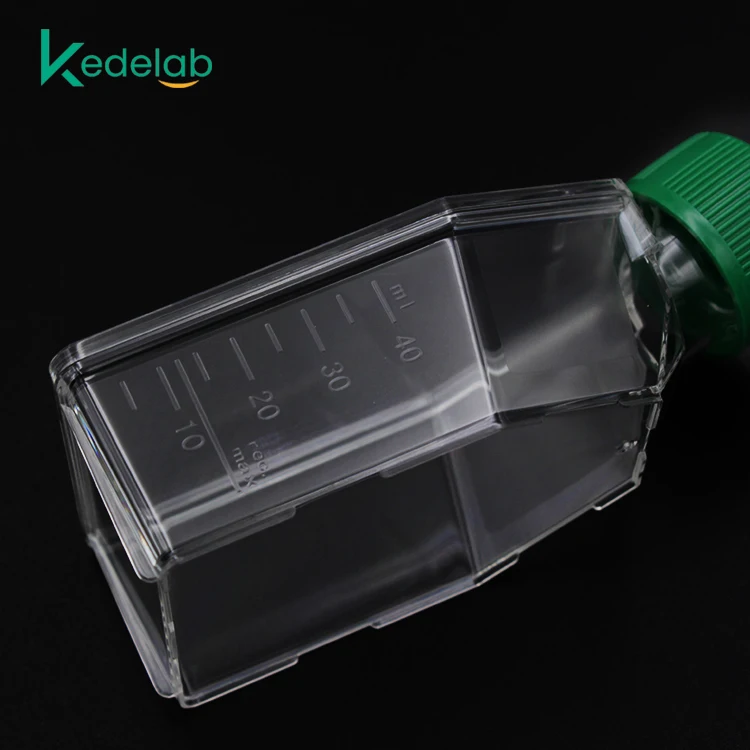 High transparency plastic vent cover TC treated tissue culture flasks cell culture flasks T25 cell culture flask