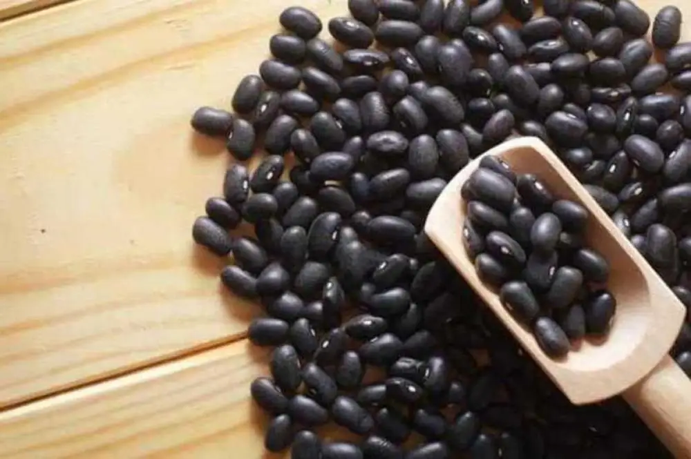 
Fresh High Quality Black Kidney Beans 