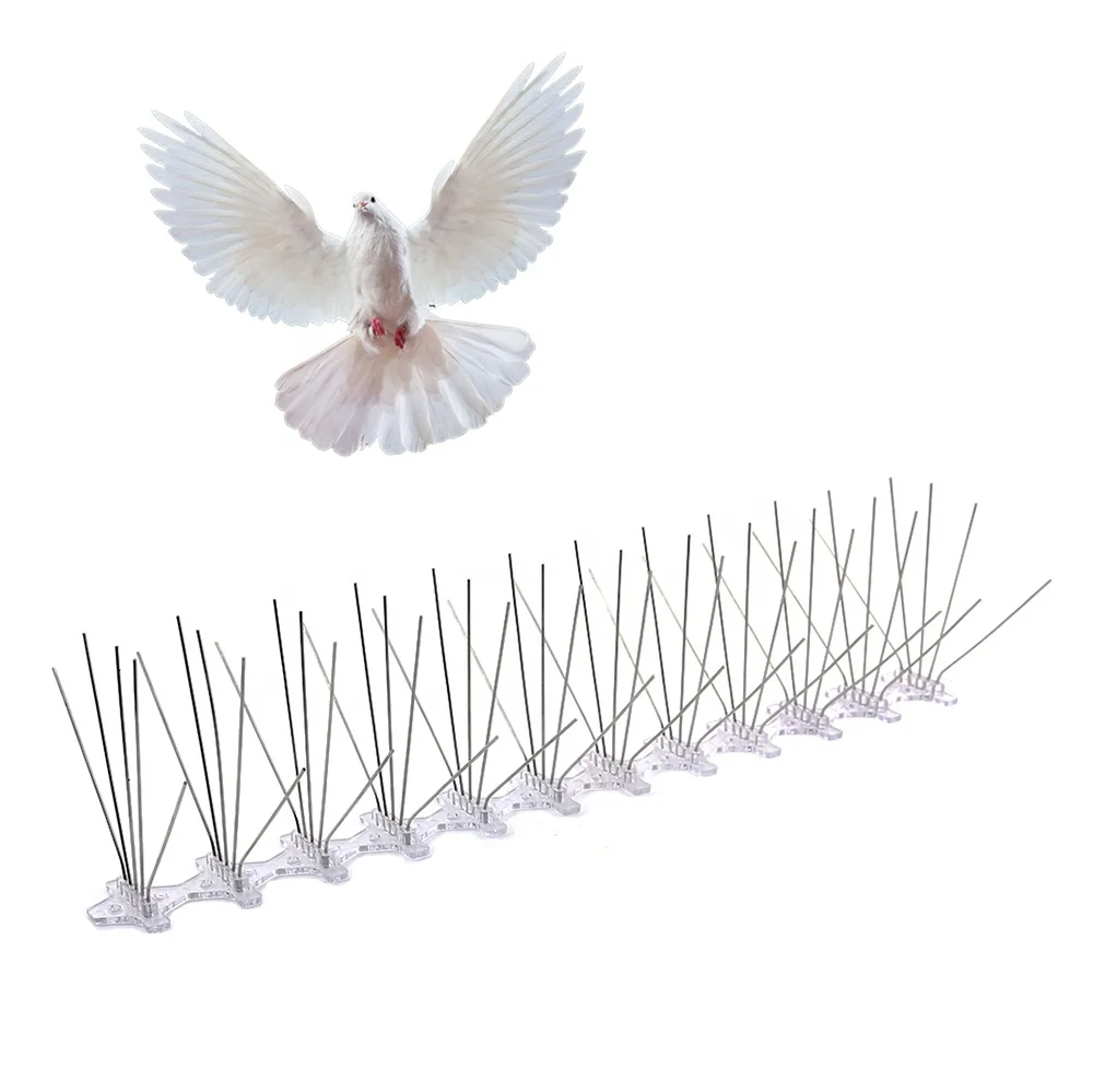 Bird Spikes - Pigeon Proofing