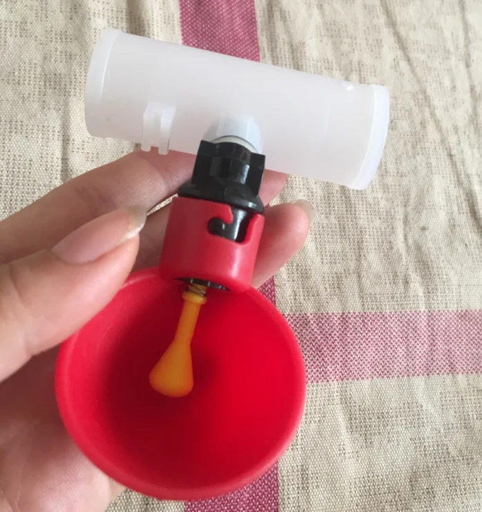 
Automatic birds drinker chicken pigeon drinking bowl water drinker with cup 