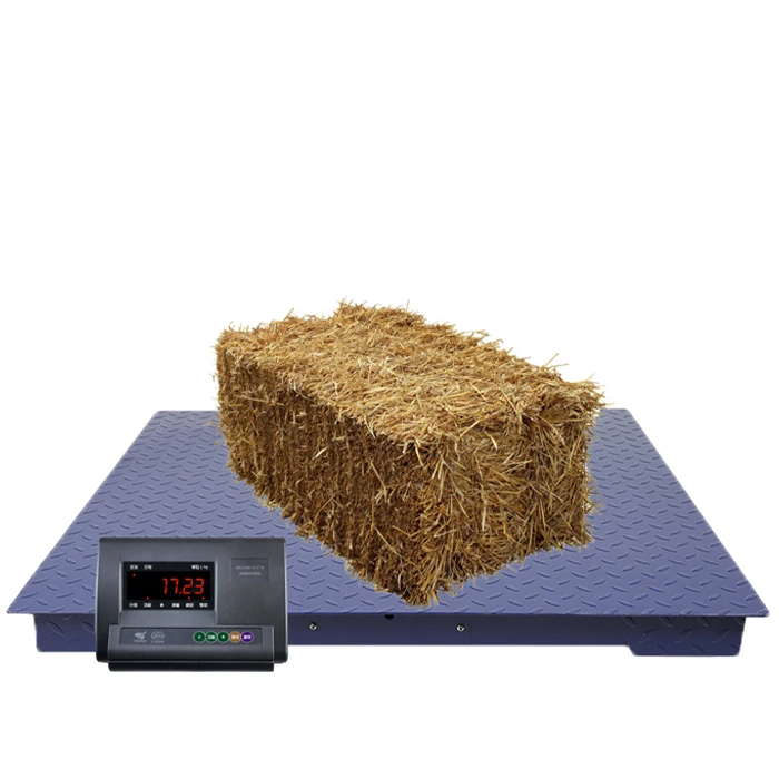 Whole sale Digital Platform Floor Weighing Scale 5000-10000 Kg with Yaohua A12E Indicator Weight Function