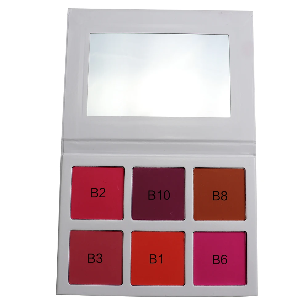 Private Label Long Lasting Cheap 6 Color Face Blush Palette with Brush for Women