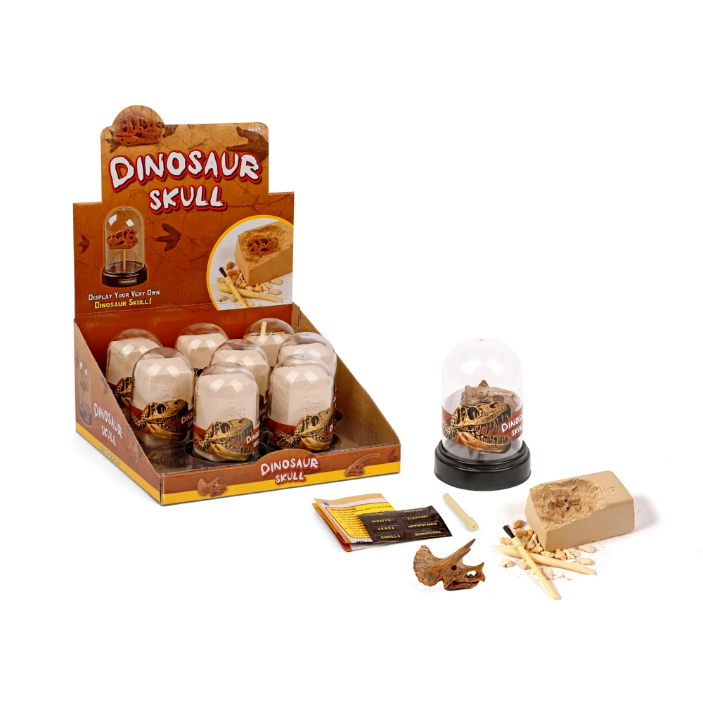 Amazon Hot Selling Children Toys 2019 Dino Skull Dig Kit With Display Box, 8 Assorted