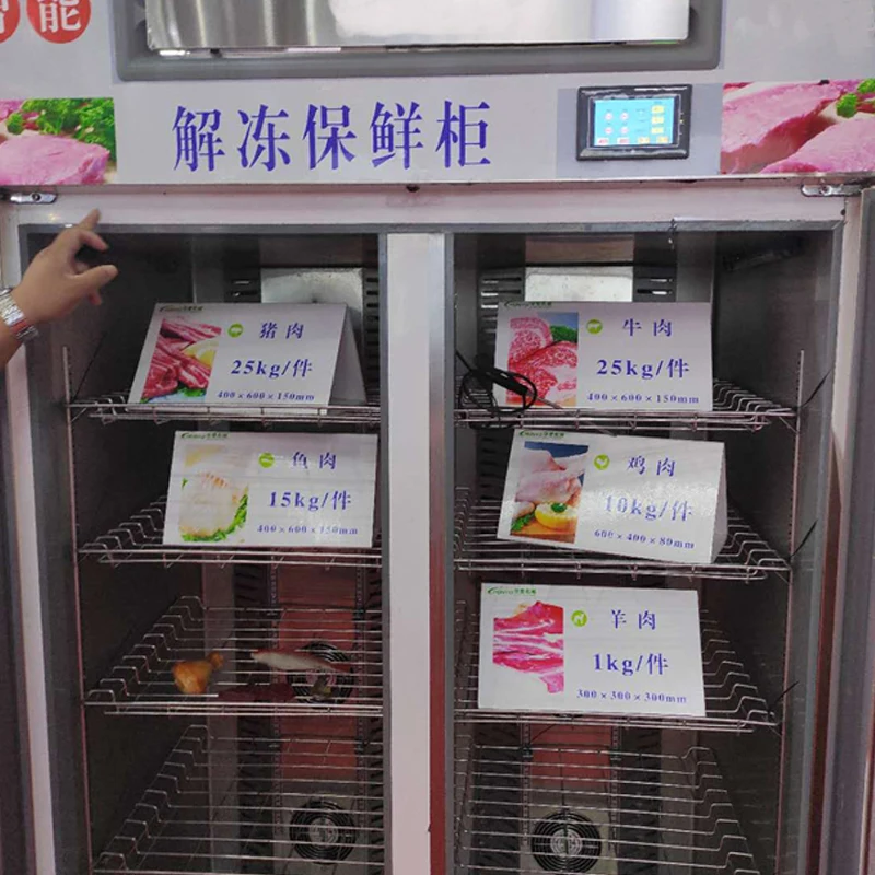 Commercial thawing room thawing equipment for frozen chicken / pork / beef / seafood for restaurant