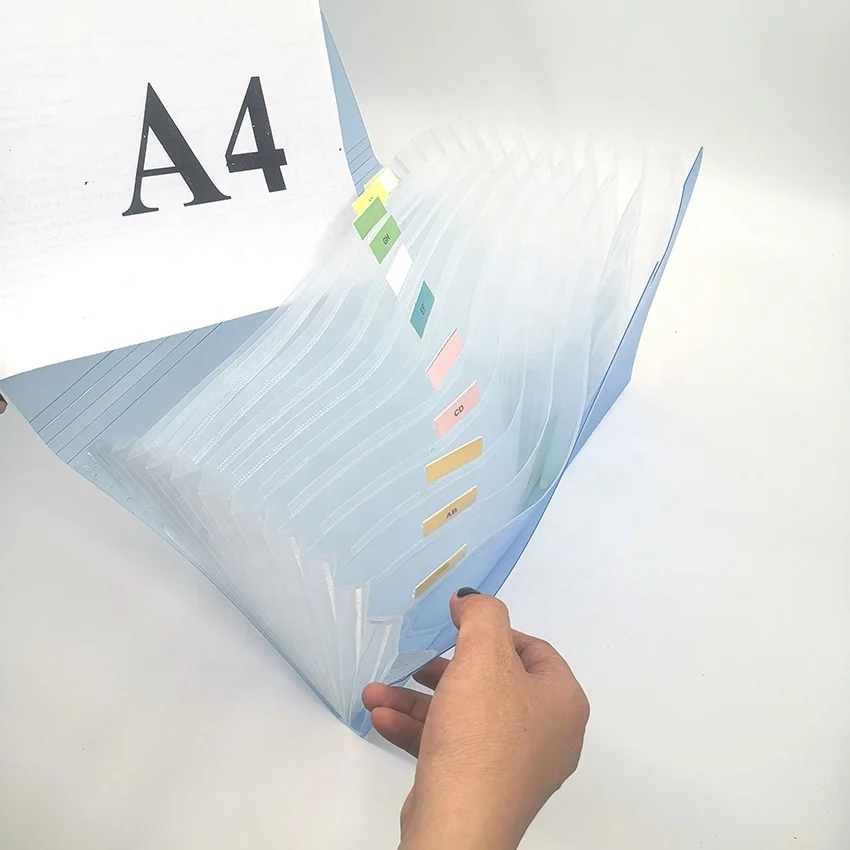 Классификация LF401 A4 PP шелкотрафаретная печать tranasродная двухцветная папка для файлов с 13 карманами и гармошкой