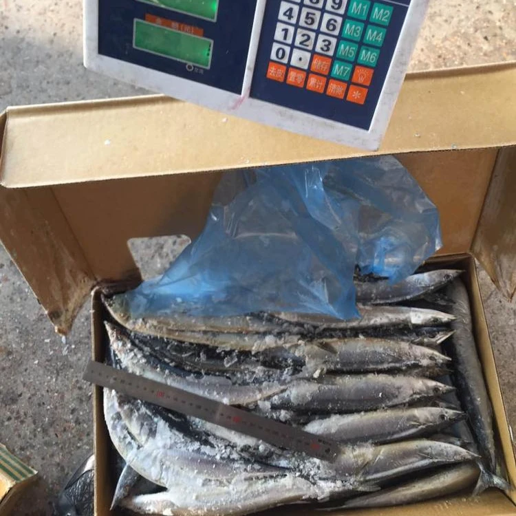 Замороженная японская скумбрия для приманки pacific saury