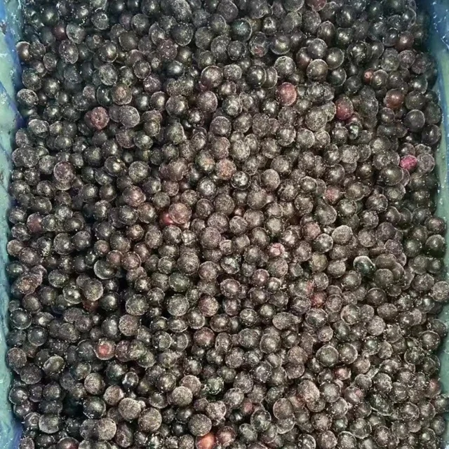 Chinese Factory Exports High-quality Frozen Fruits Frozen Blueberries
