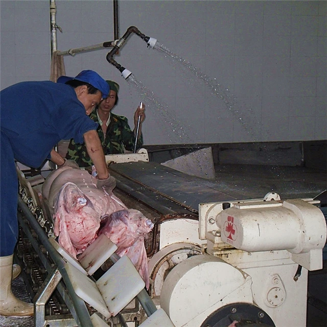 Mobile Swine Meat Processing Plant With Pig Abattoir Machinery