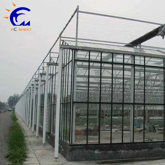 Коммерческая сельскохозяйственная теплица из поликарбоната по низкой цене