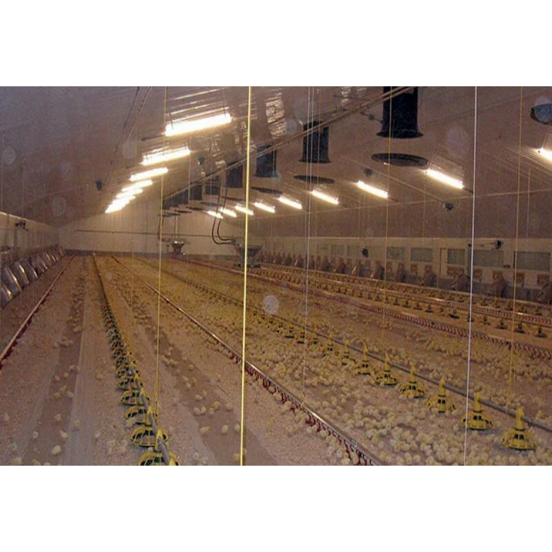 Конструкция с одной шириной предварительно изготовленная конструкция быстрая сборка домашняя птица курица стальной