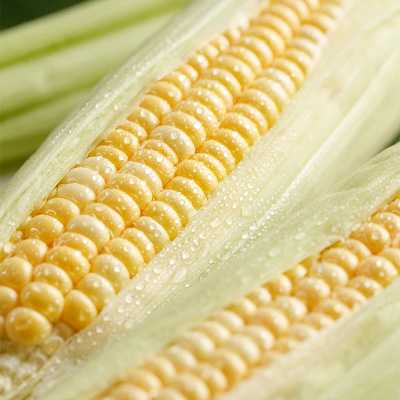 sweet corn for bbq sweet corn manufacturer