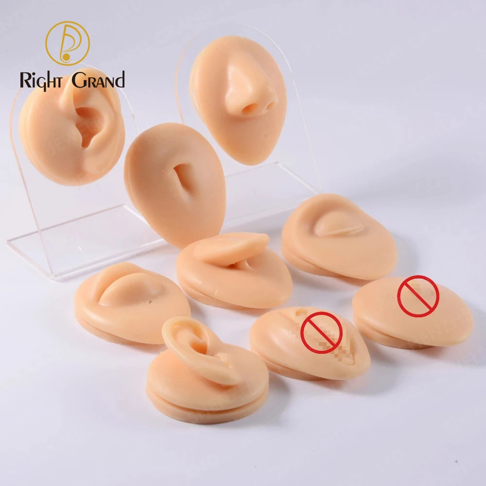 Right Grand Soft Silicone Model Body Part Displays for Acupuncture Human Model Simulation for Jewelry Display Teaching Tool