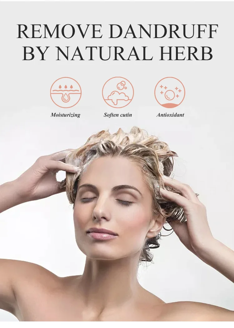 
OEM DAAO Hot Selling Natural Organic Tea Tree Shower Gel Deep cleaning Moisturizing Tea Tree Shampoo And Conditioner 