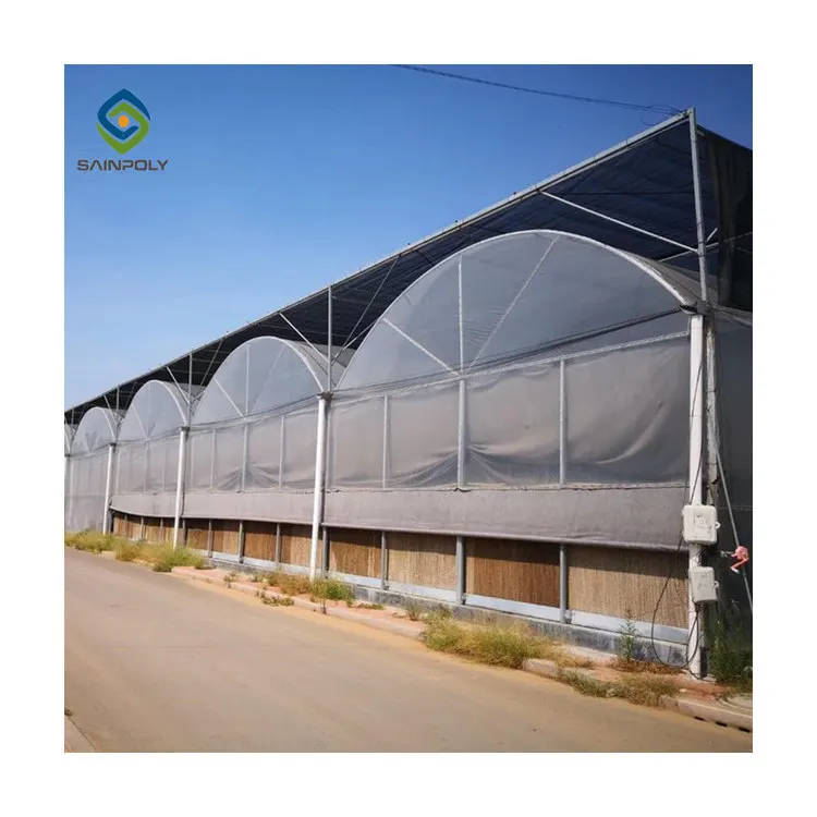 Multi-span agricultural plastic products plastic shed film green houses greenhouse with hydroponic growing systems