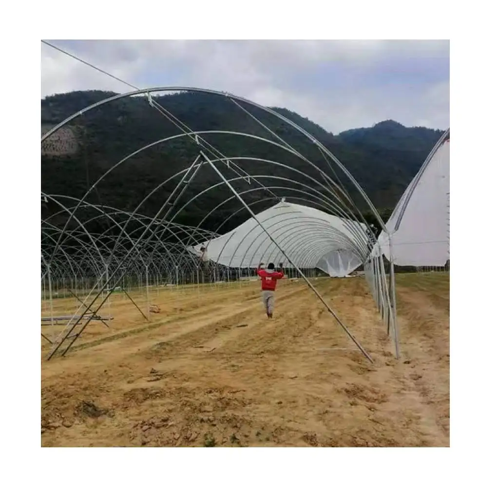 Wholesale Simple Installation Farm And Garden Greenhouses Rain Shelter Greenhouses