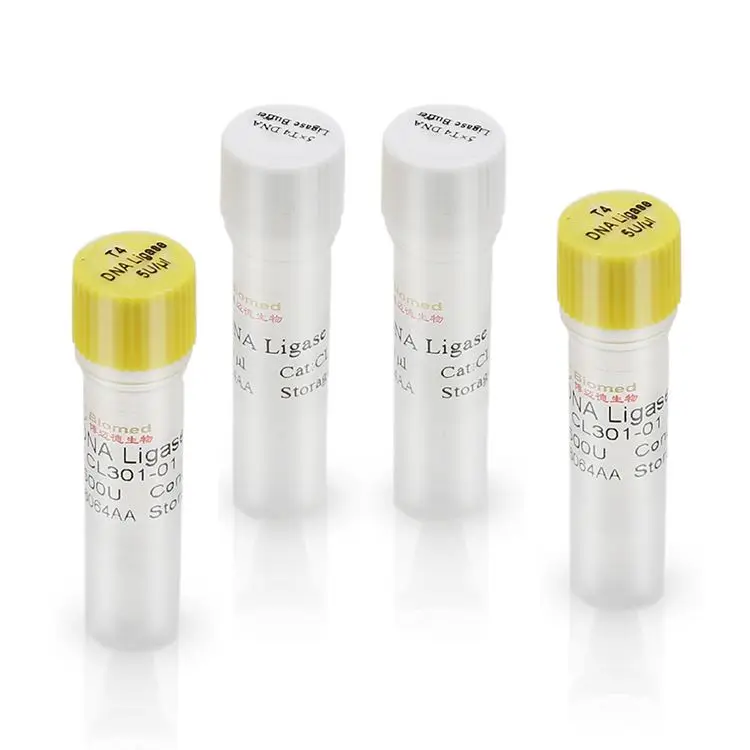 Оптовая продажа, высококачественный профессиональный реагент T4 DNA Ligase