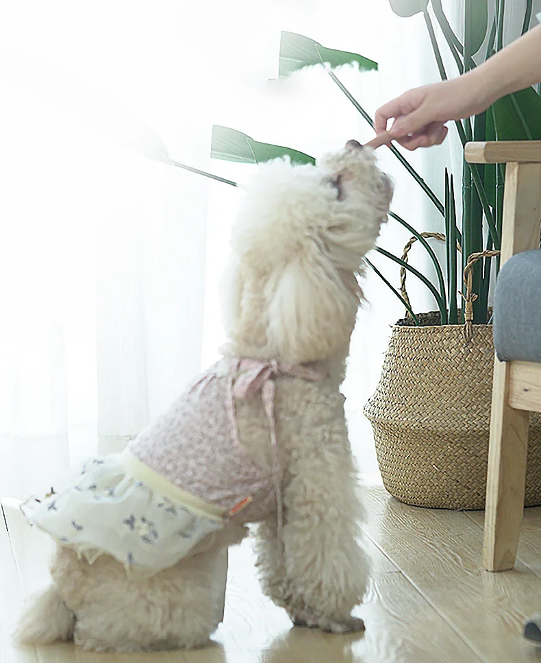 Factory Wholesale dog pet food ham sausage pet snacks natural pet treats sausage for dog cat ready to eat sausage