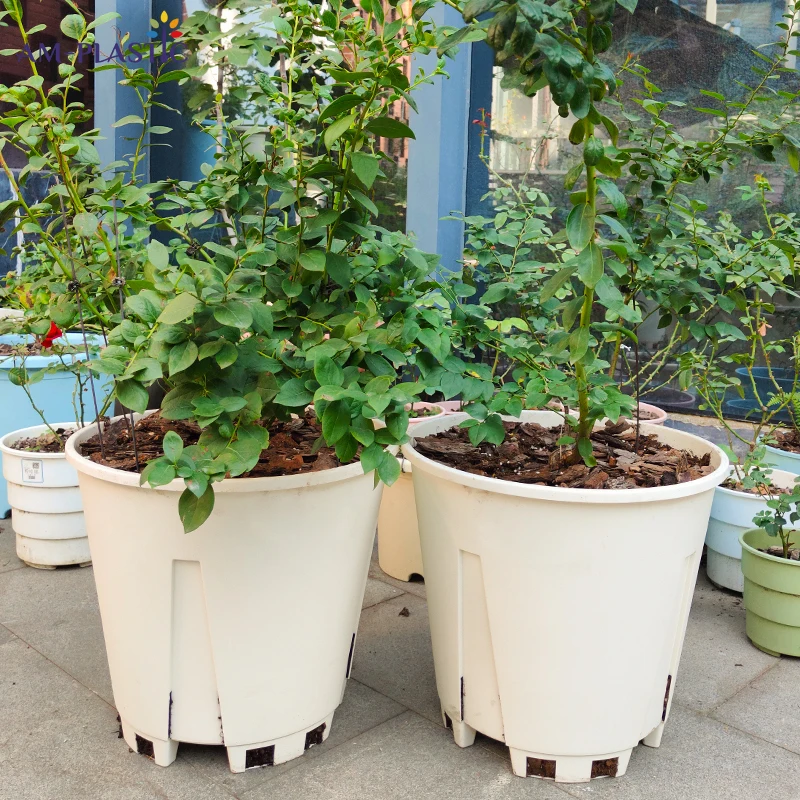 Garden Root Control Planters Wholesale Price Nursery clear Plastic Pot Planters