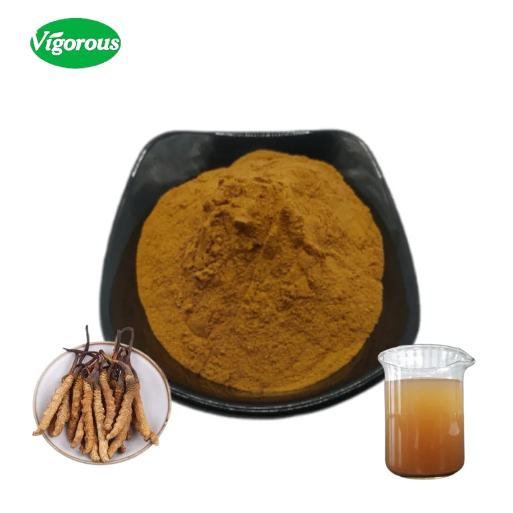 High Quality Dried Cordyceps Sinensis Extract Powder Healthy Food Packed in Drum