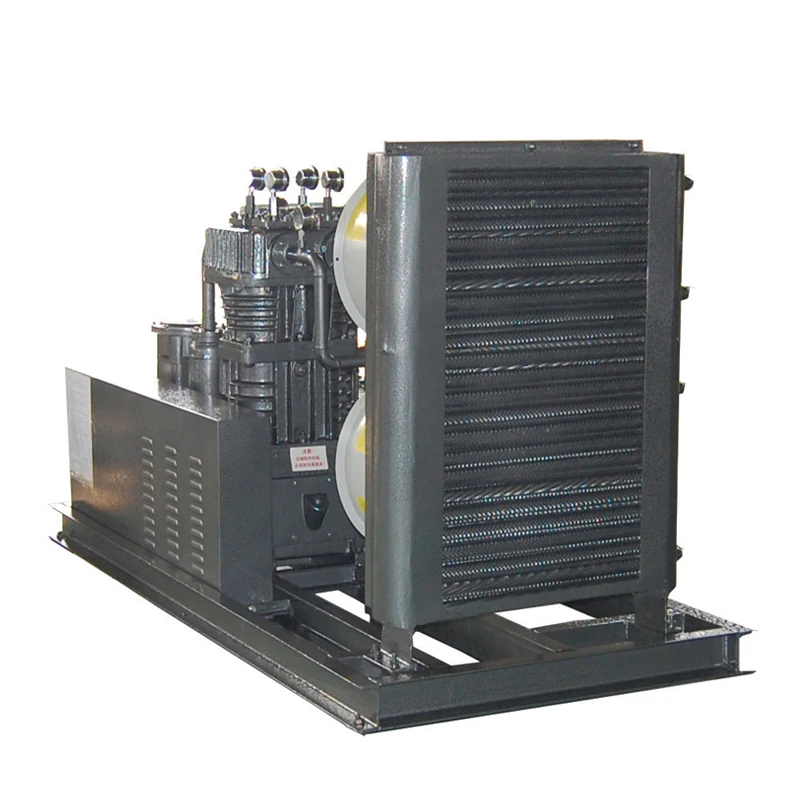 Manufacturer Custom Gas Compressor Biogas to Cng Convator Machine Biogas Digester Compression for Biogas Transmission