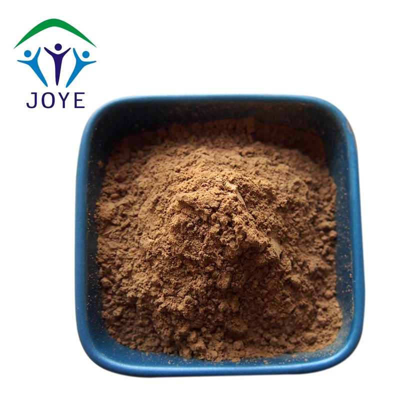 Food Grade Drynaria Rhizome Extract Powder 10:1